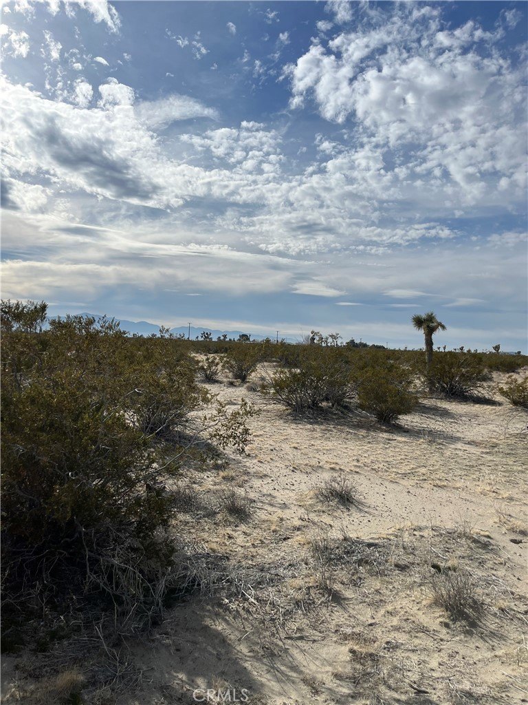 Residential Land in Adelanto, CA