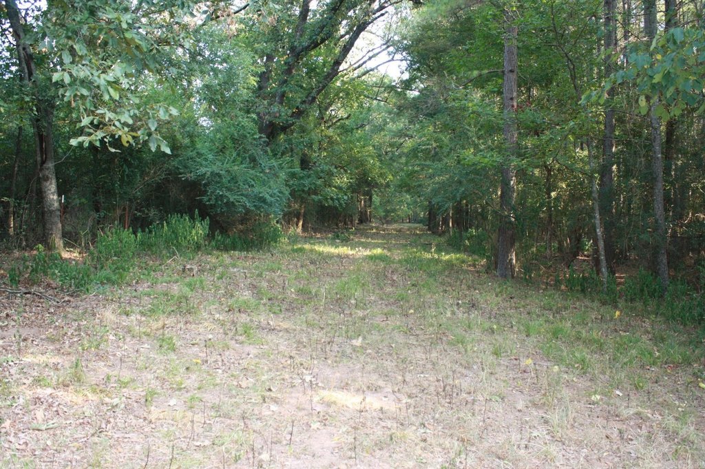 Picture 15