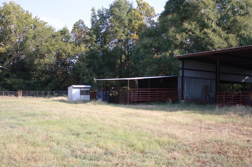 Picture 6
