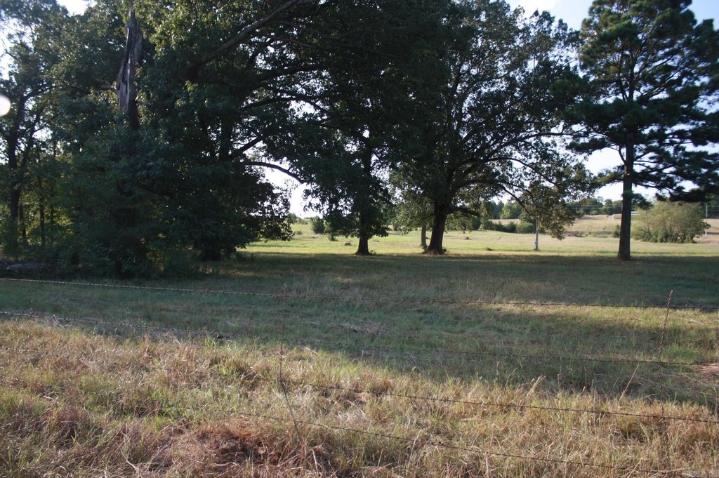 Picture 8