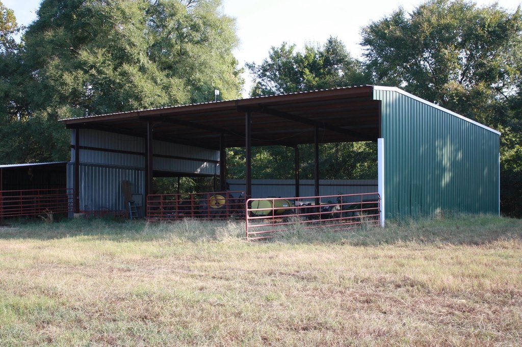 Picture 5