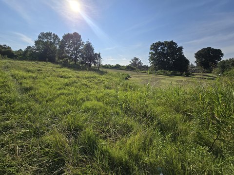 Land, Fredonia, KY
