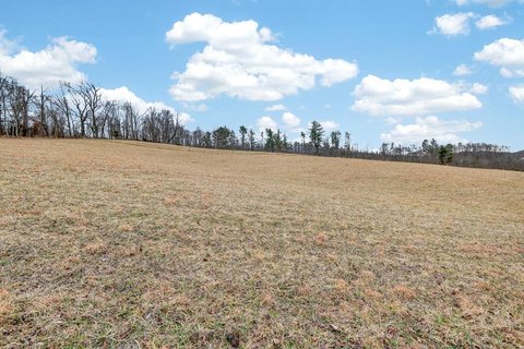 Residential Land Near South Holston