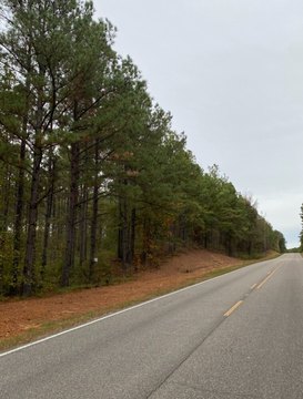 Recreational Waterfront Timber Tract