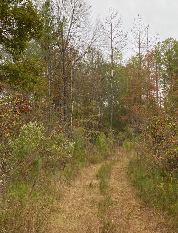 Picture 13