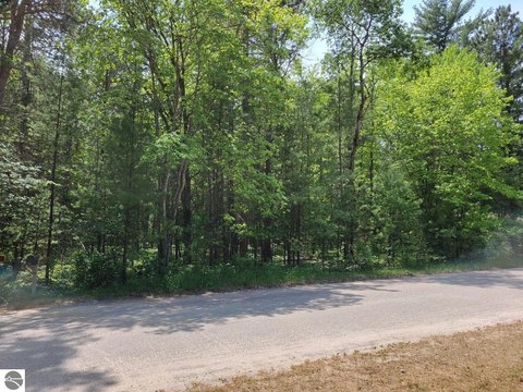 Wooded Lot Near Grayling Amenities