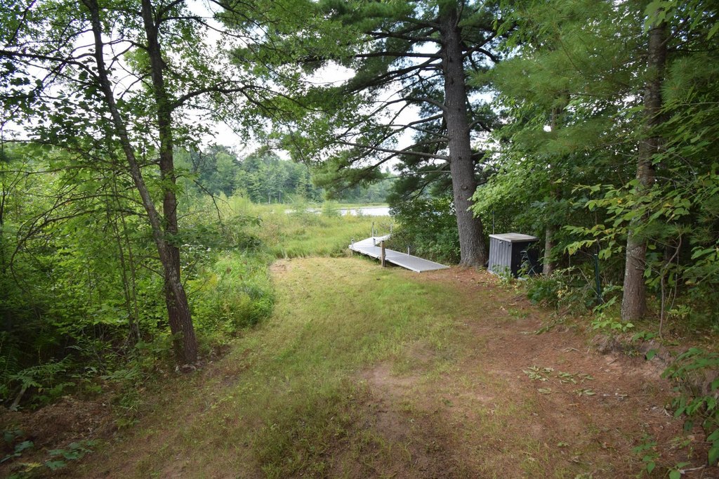 Picture 38