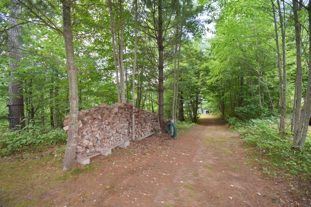 Picture 37