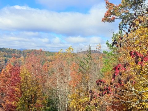 Mountain View Lot in Murphy