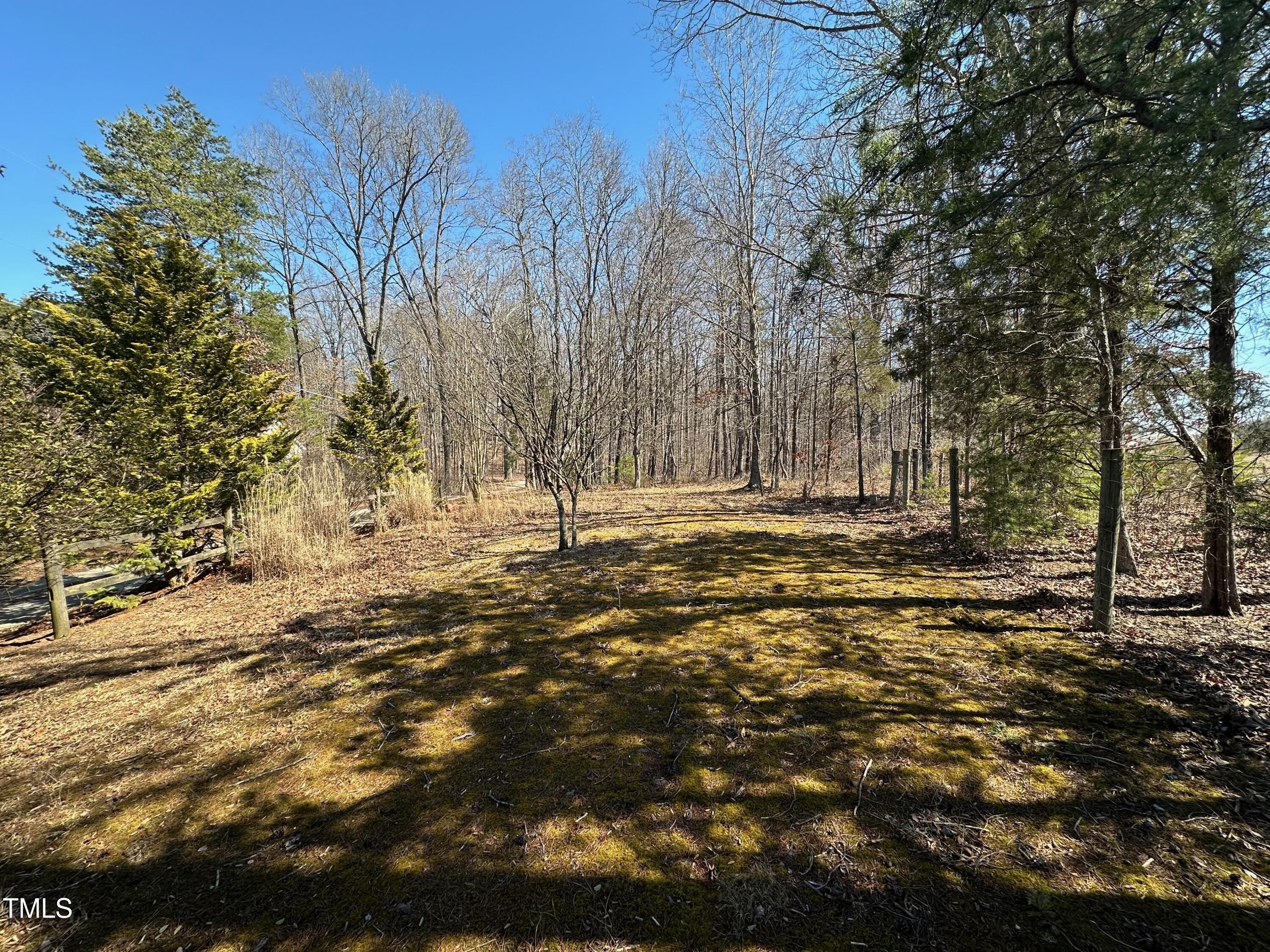 Wooded Land Parcel Near Walkertown