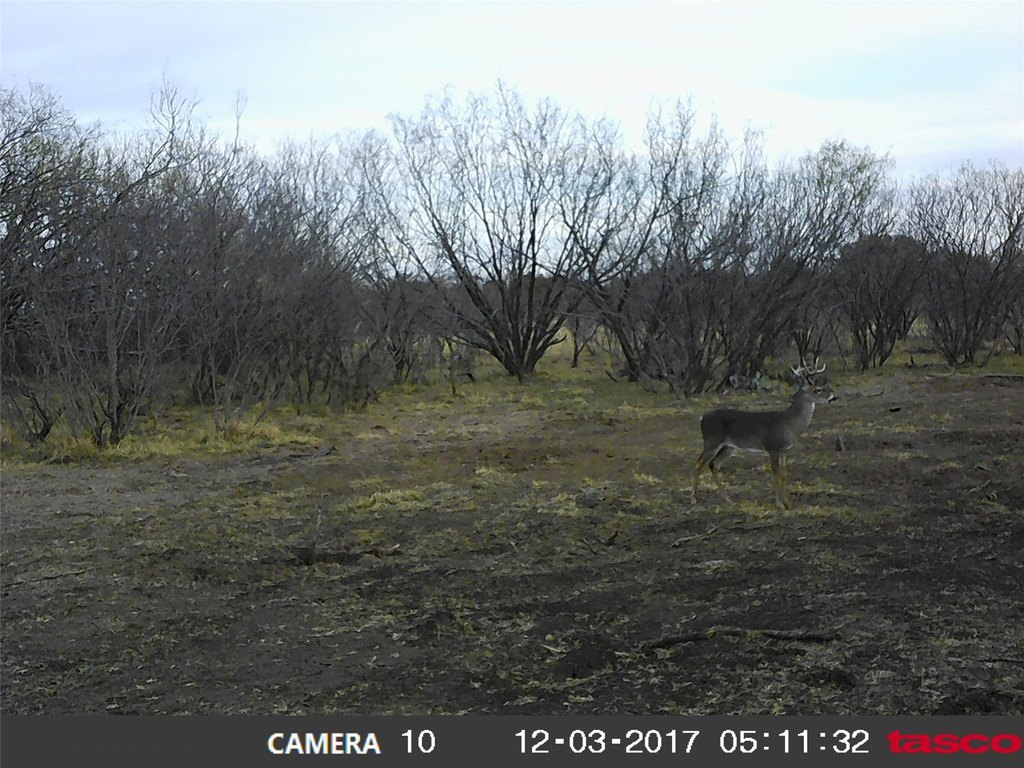 Picture 4