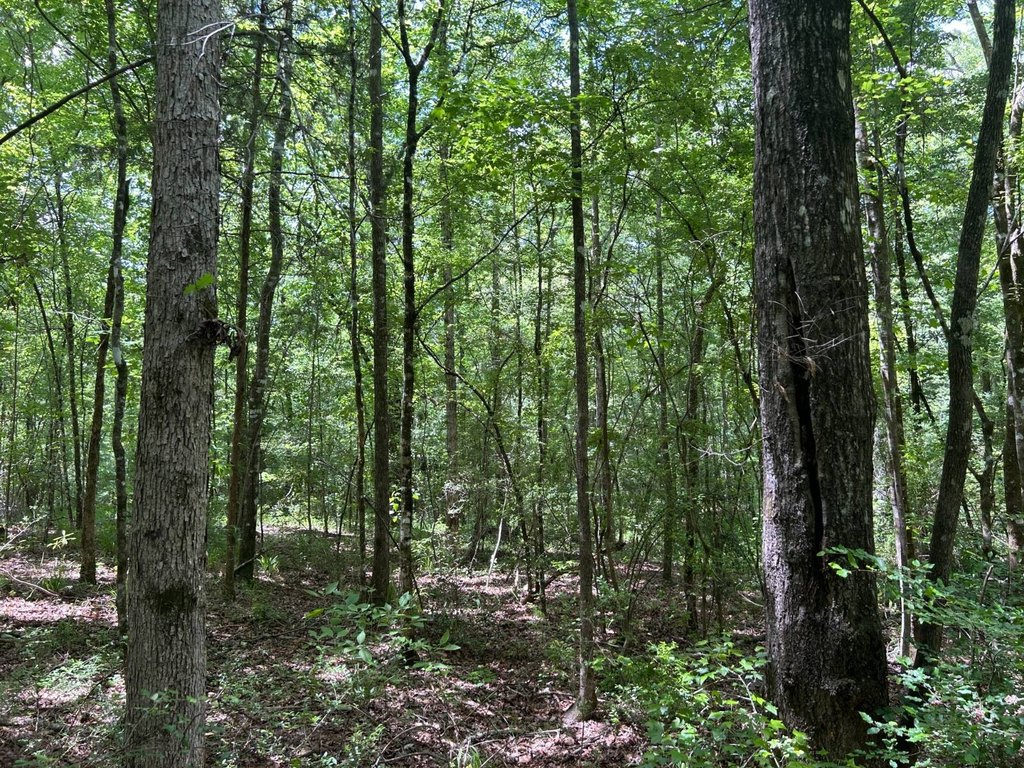 Picture 24