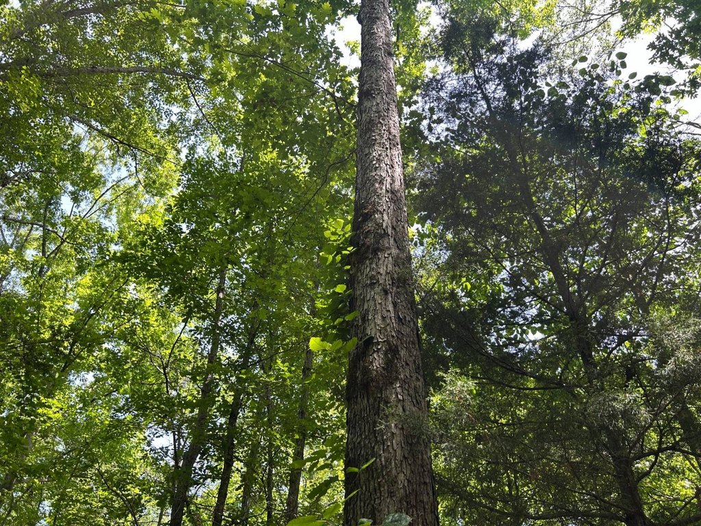 Picture 19