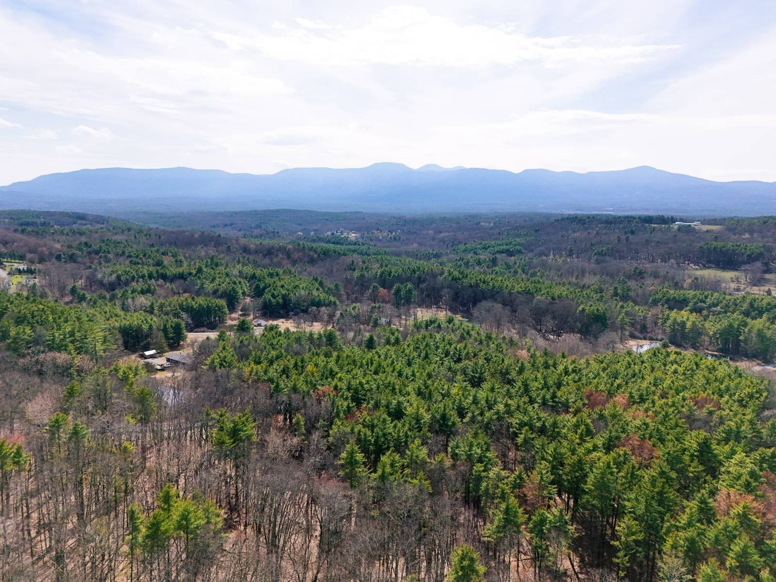 Expansive Land Parcel in Freehold