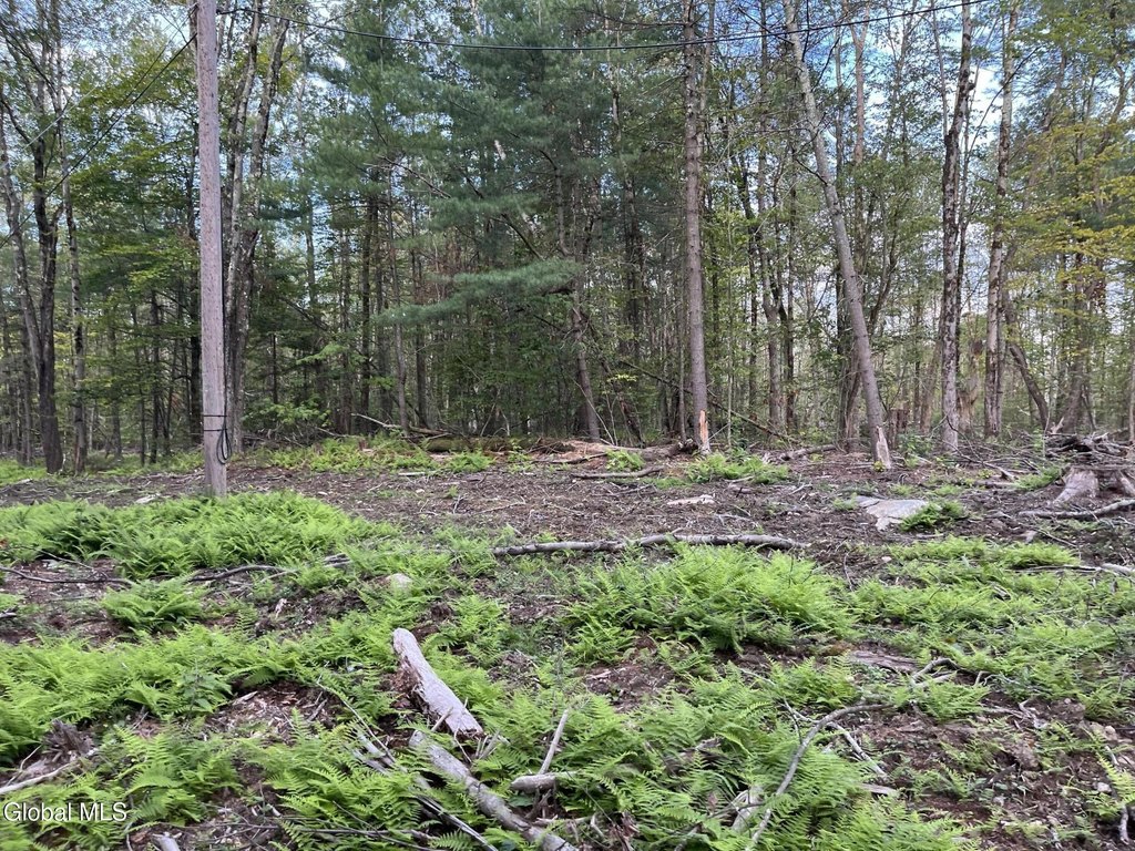 Picture 3