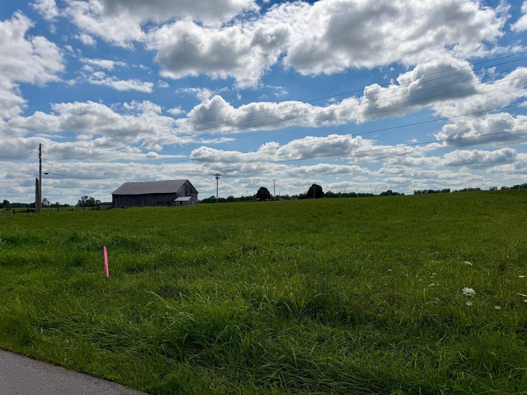 Picture 17
