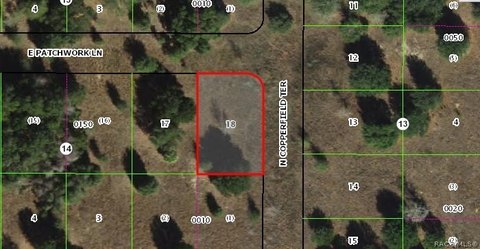 LAND - Inverness, FL