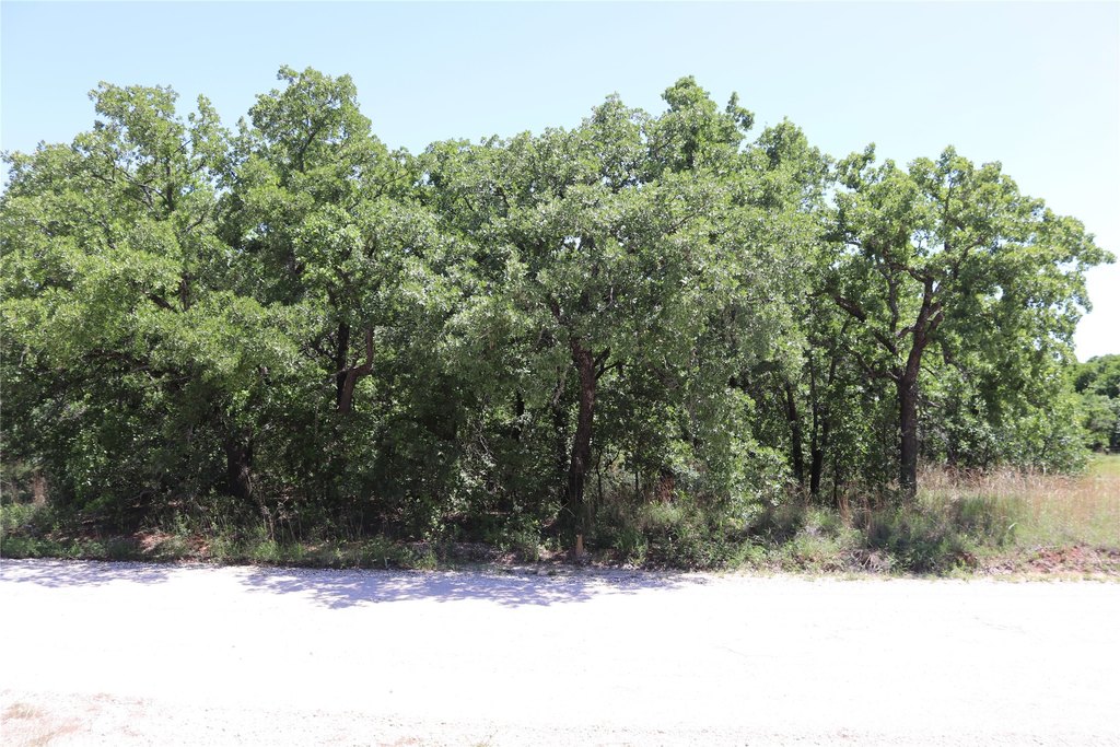 Picture 5