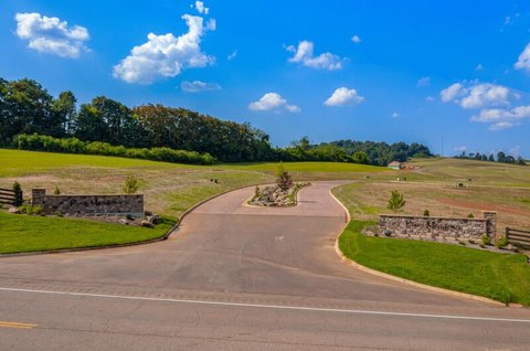 Residential Lot in White Pine