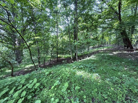 Tazewell Land For Sale