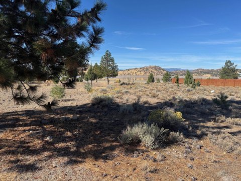 Lake Shastina Waterfront Land