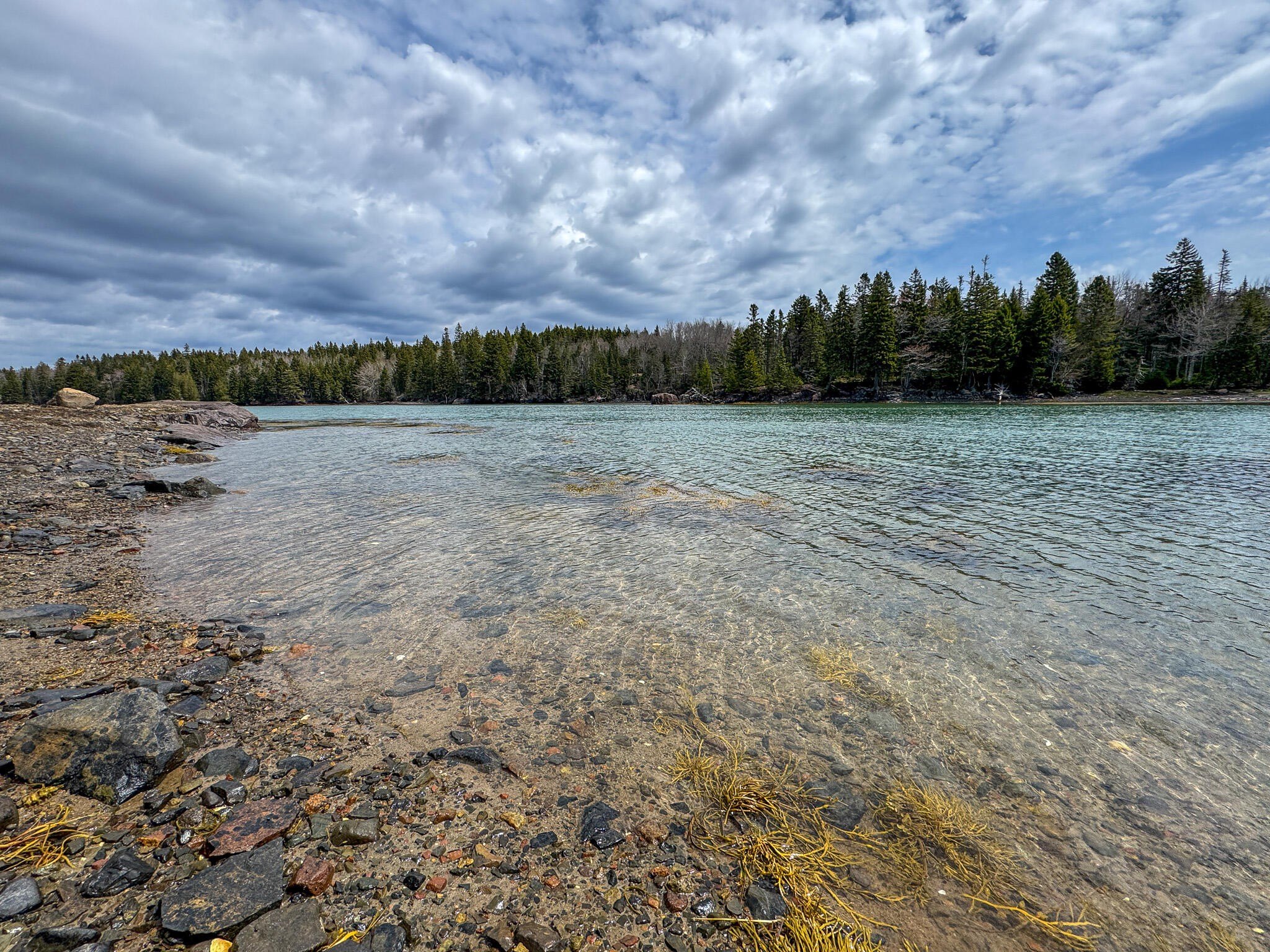 Oceanfront Land in Machiasport, Maine