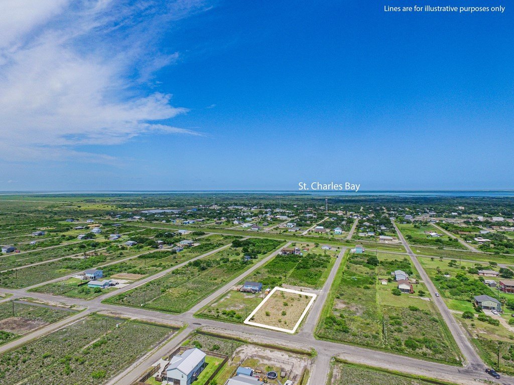 Picture 3