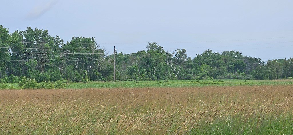 Picture 8