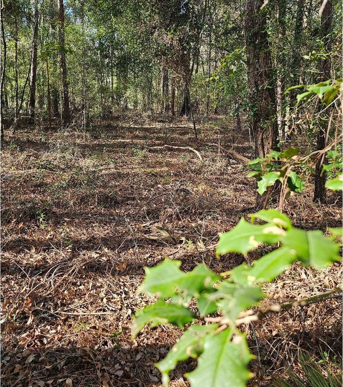 Picture 7