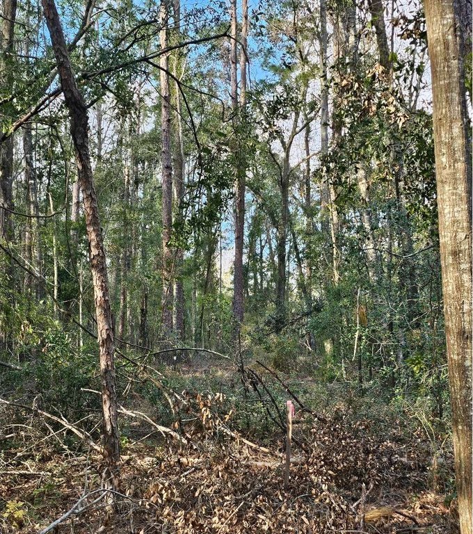 Picture 8