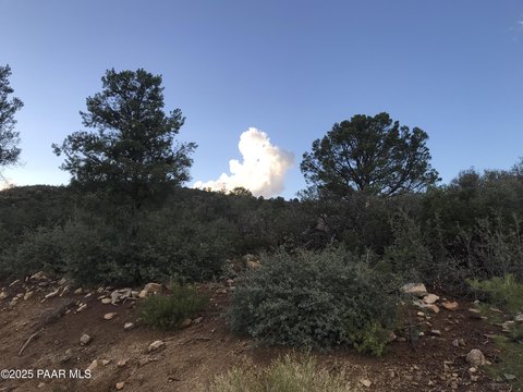 Peeples Valley Land with Views