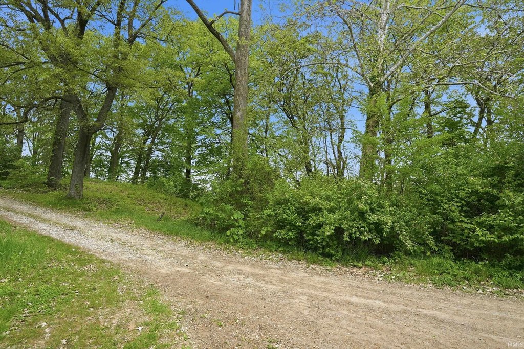 Picture 8