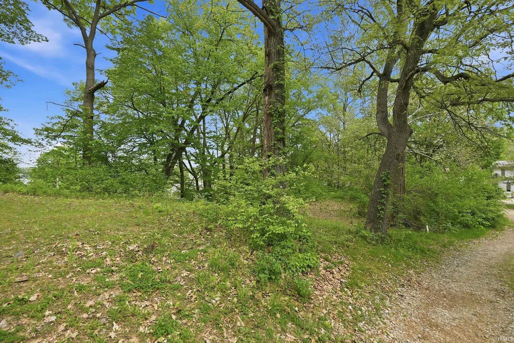 Picture 6