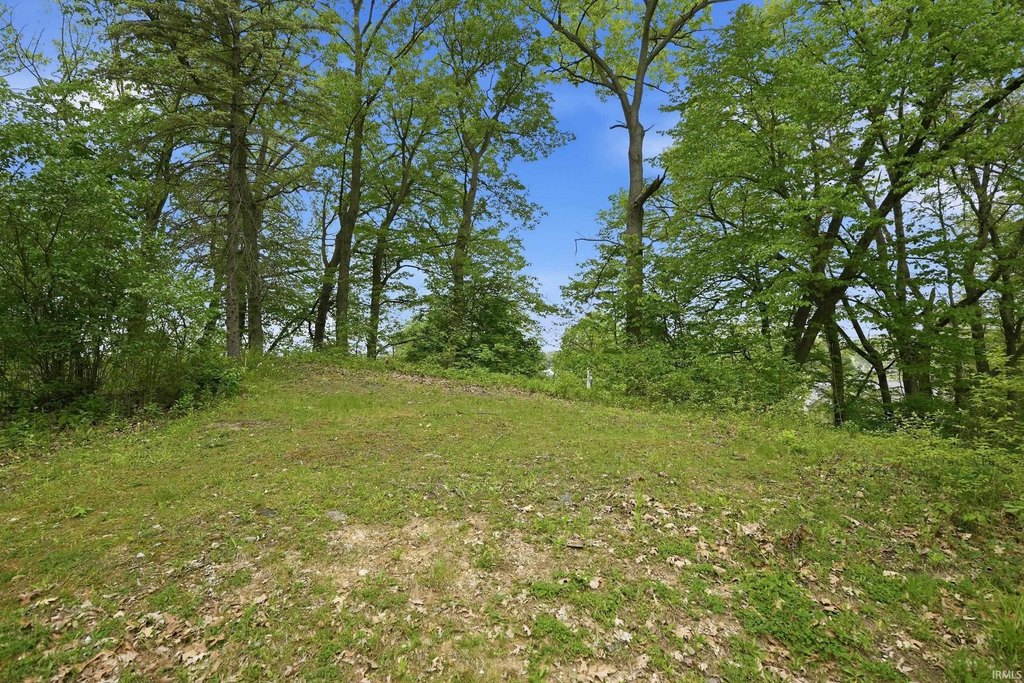 Picture 5