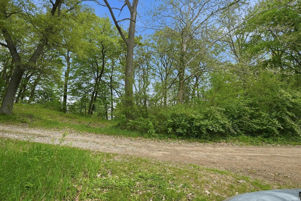 Picture 9