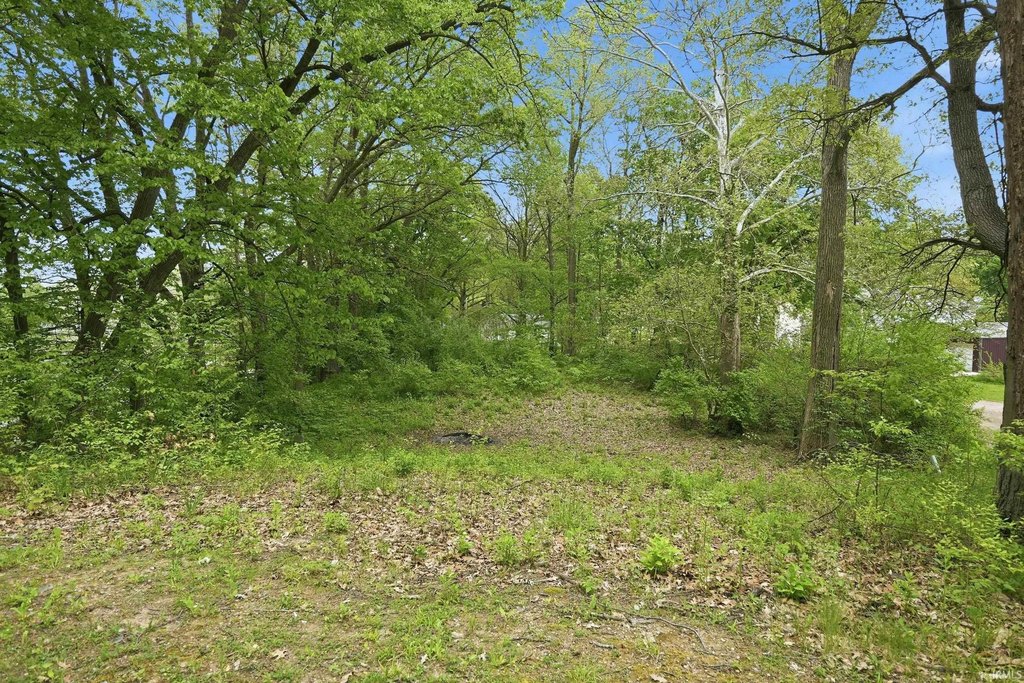 Picture 7