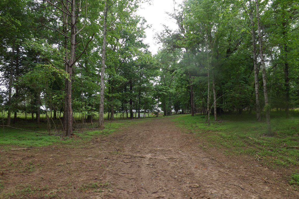 Picture 28