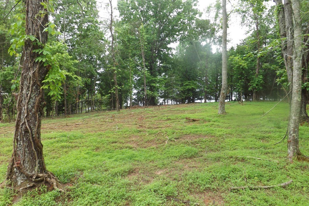 Picture 22
