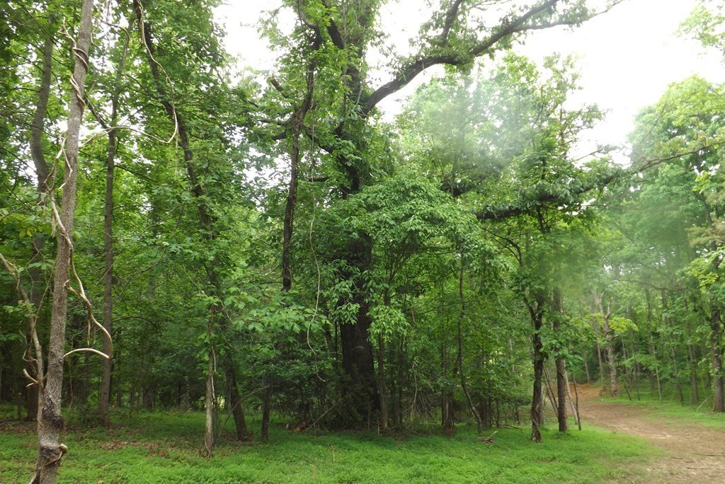 Picture 39