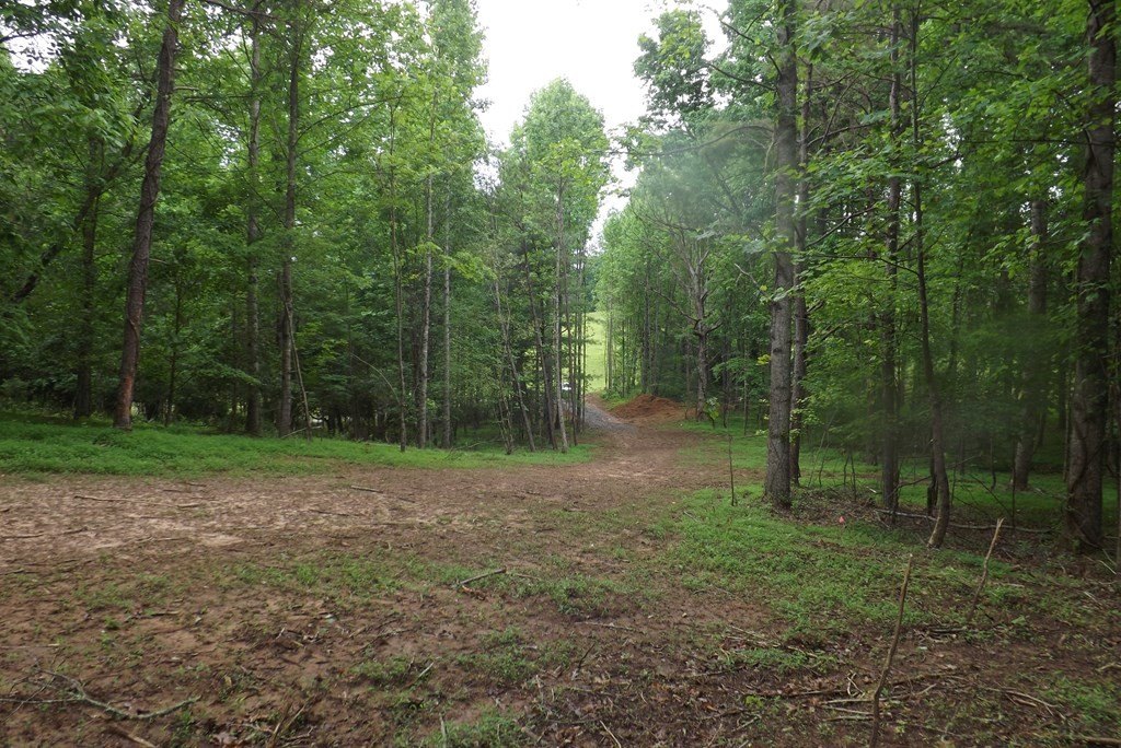 Picture 36