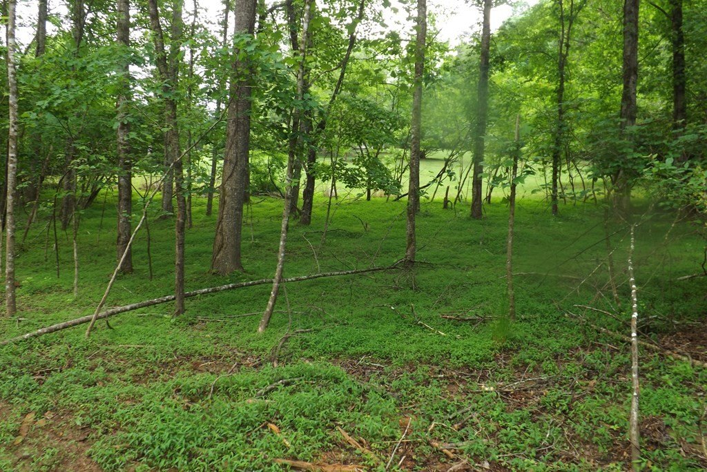 Picture 40
