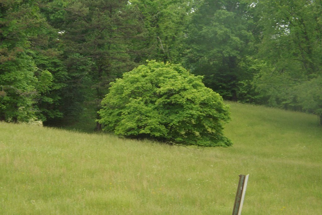 Picture 27