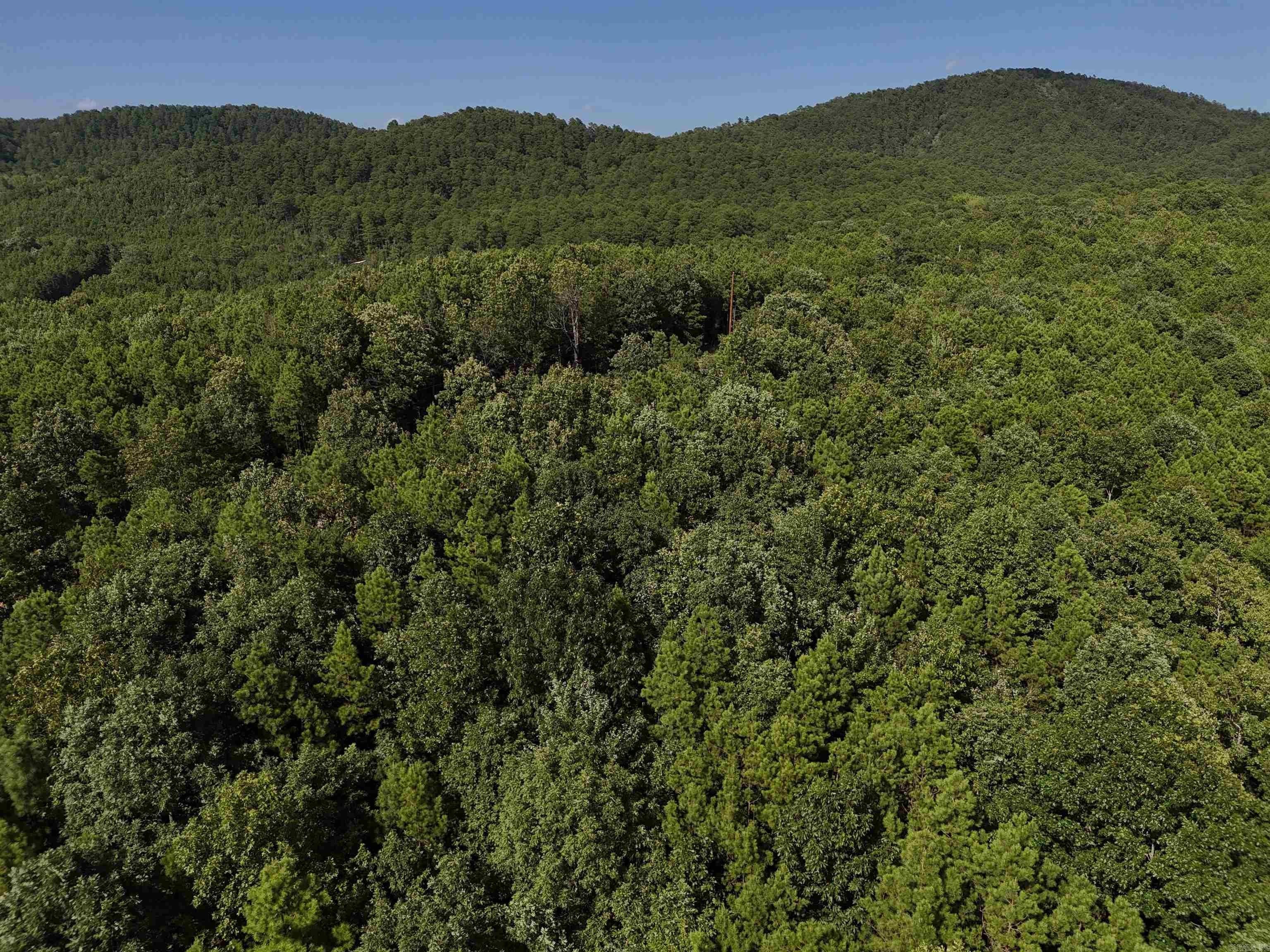 Mena, AR Wooded Acreage