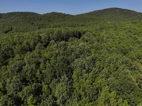 Mena, AR Wooded Acreage