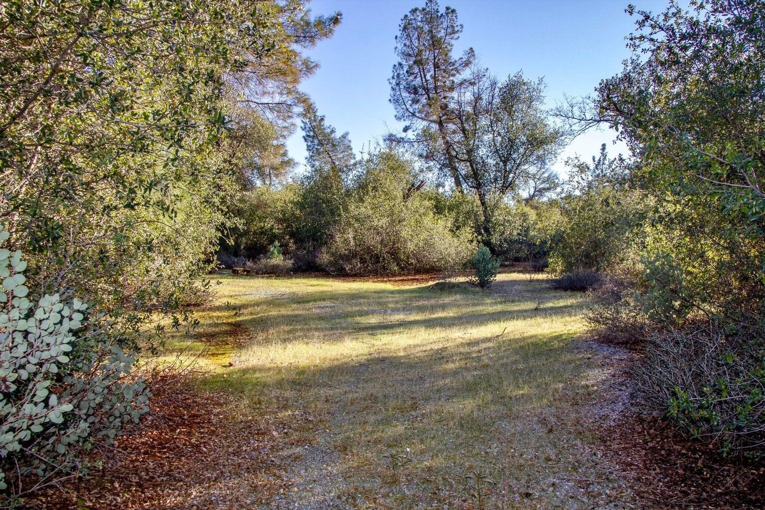 Shingletown Land with Mountain Views