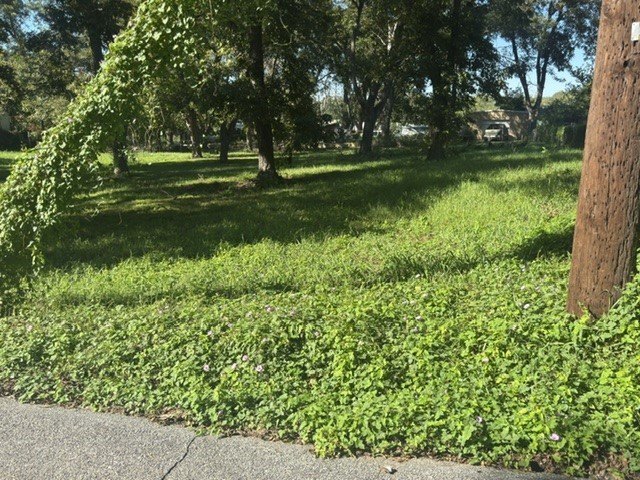 Picture 2