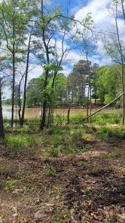 Land, Big Sandy, TX