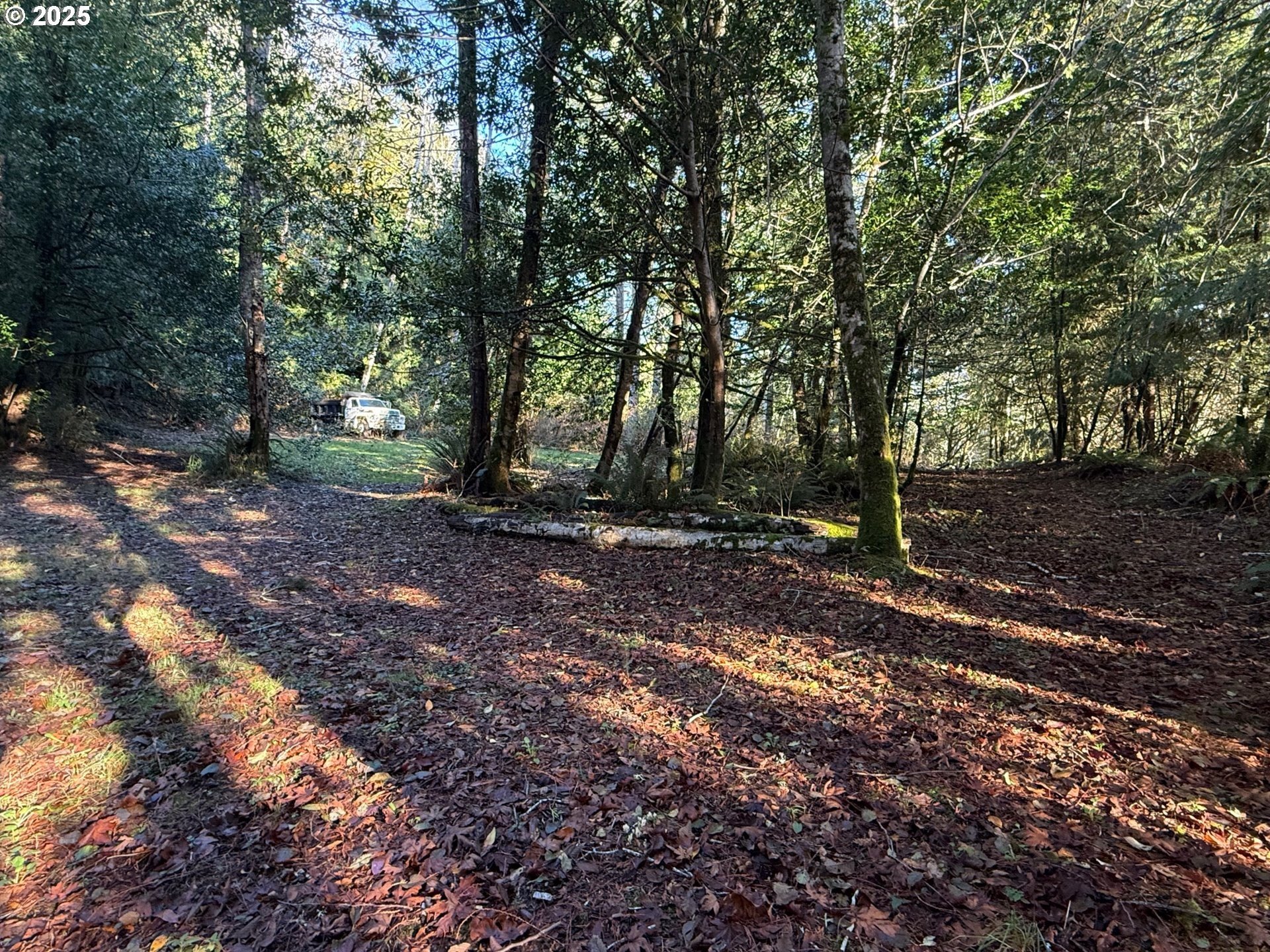 Land Near Siuslaw River