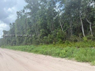 Land, FL