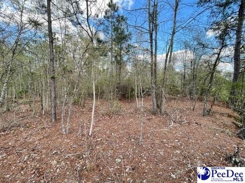 Unrestricted Development Land with Frontage